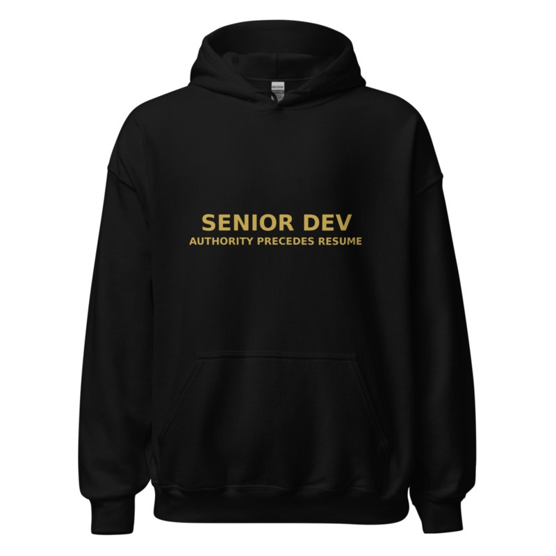 Senior Dev Identity Hoodie lifestyle